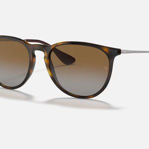 RayBan Erika Sunglasses